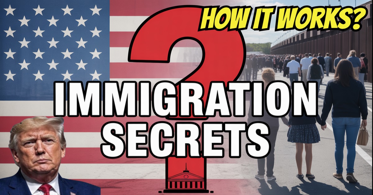 How the US Immigration System Works Immigration Insight
